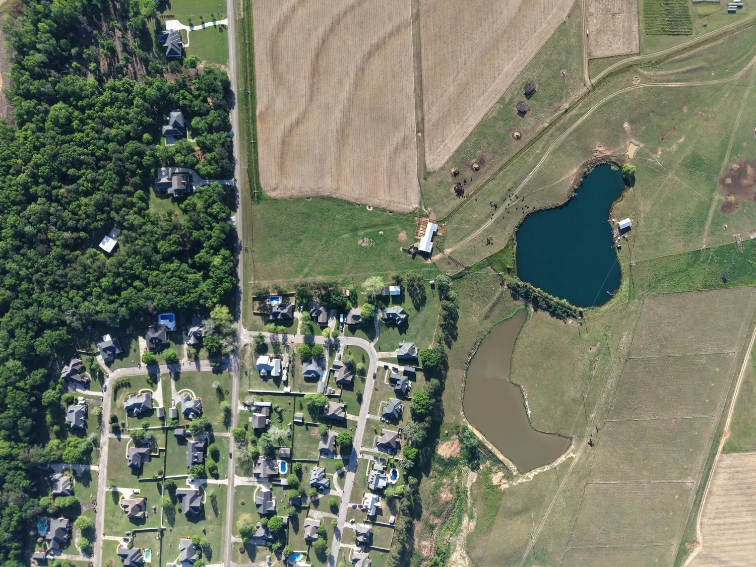 Lakeside Neighborhood — Real Estate, aerial photograph